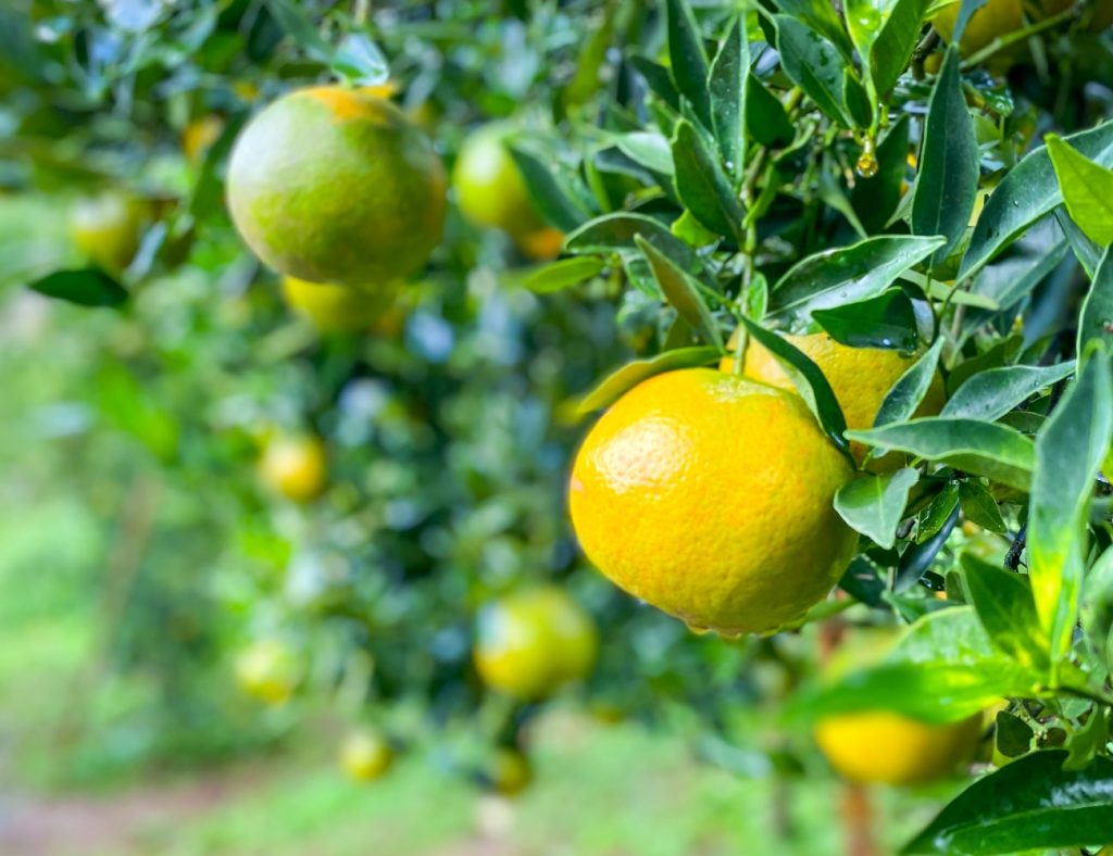 Welcome to Grand-Crest Energy Limited